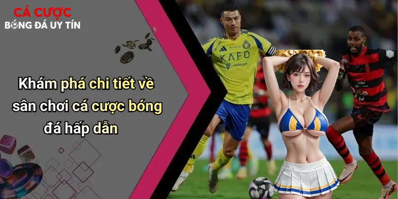 Khám phá chi tiết về sân chơi cá cược bóng đá hấp dẫn
