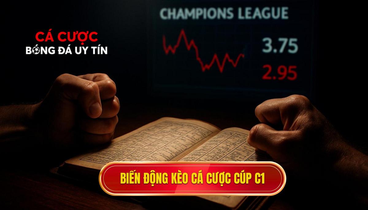 Bản chất và sự biến động của kèo cá cược Cúp C1 châu Âu