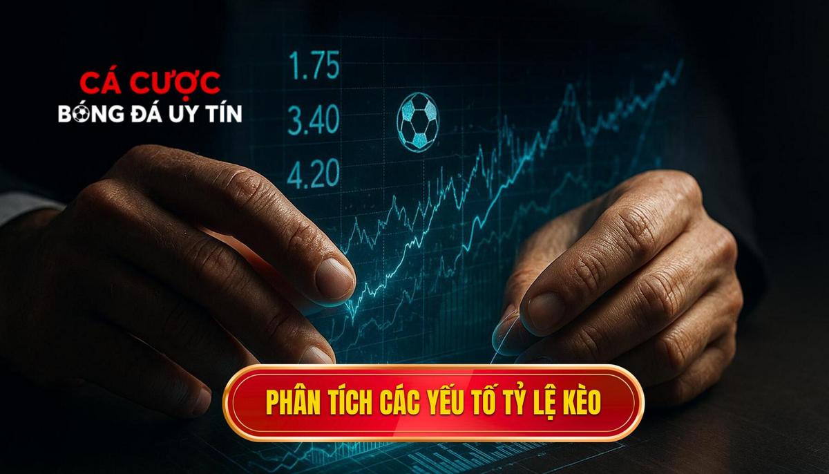 Phân tích chiều sâu các yếu tố ảnh hưởng đến tỷ lệ kèo