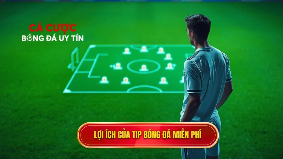Tip bóng đá miễn phí là gì và tại sao nó lại quan trọng?