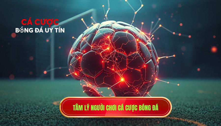 3. Tâm lý người chơi cá cược bóng đá