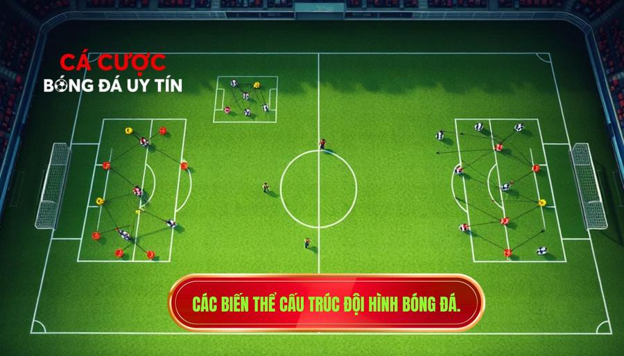 Các biến thể cấu trúc đội hình bóng đá